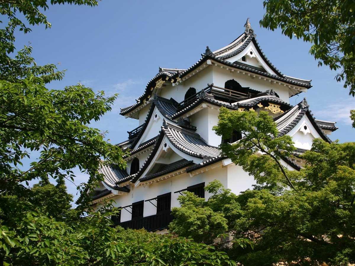 Business Hotel Serikawa Hikone Exterior foto
